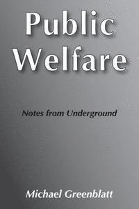 bokomslag Public Welfare