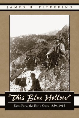 bokomslag This Blue Hollow