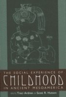 bokomslag The Social Experience of Childhood in Ancient Mesoamerica