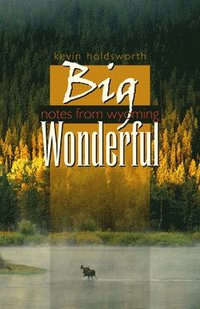 bokomslag Big Wonderful