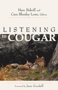 bokomslag Listening to Cougar