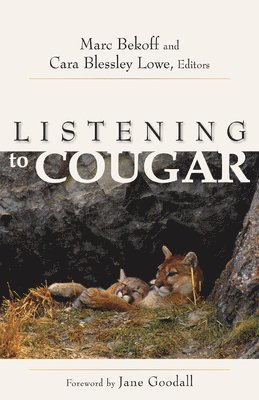 Marc Bekoff, Cara Blessley Lowe - Listening to Cougar, Häftad