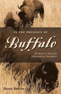 bokomslag In the Presence of Buffalo