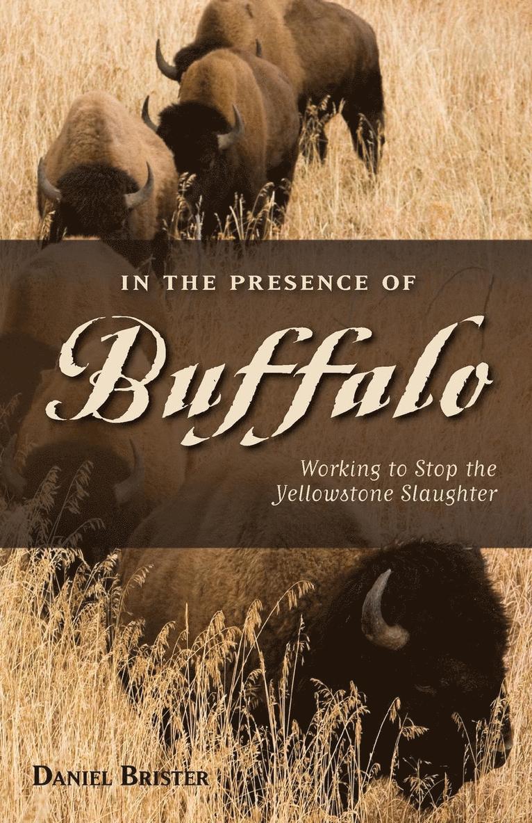 Daniel Brister - In the Presence of Buffalo, Häftad
