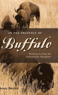 bokomslag In the Presence of Buffalo