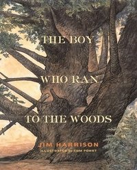 bokomslag The Boy Who Ran to the Woods