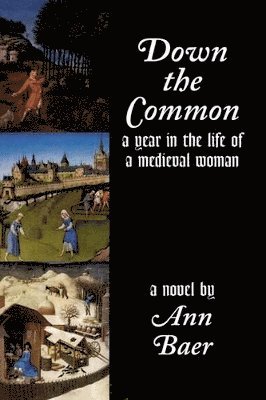 Ann Baer - Down the Common, Häftad