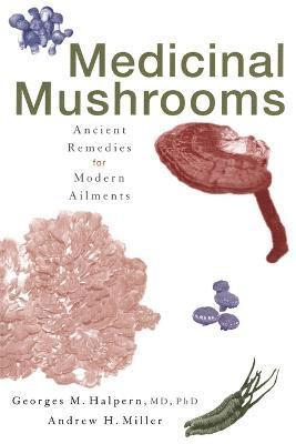 Medicinal Mushrooms 1