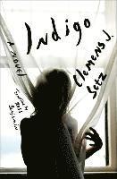 Clemens J. Setz - Indigo, Inbunden