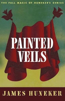bokomslag Painted Veils
