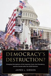 bokomslag Democracy's Destruction? Changing Perceptions of the Supreme Court, the Presidency, and the Senate After the 2020 Election: Changing Perceptions of th