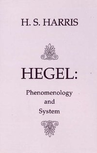 bokomslag Phenomenology and System