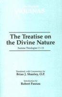 bokomslag The Treatise on the Divine Nature