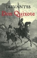 bokomslag Don Quixote