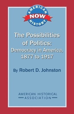 Robert D. Johnston - The Possibilities of Politics: Democracy in America, 1877-1917, Häftad