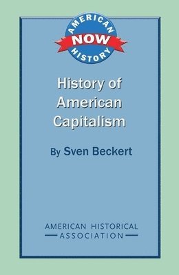 bokomslag History of American Capitalism