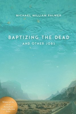 bokomslag Baptizing the Dead and Other Jobs