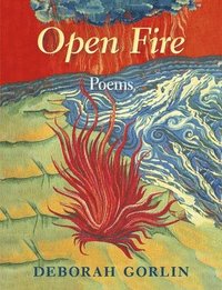 bokomslag Open Fire: Poems