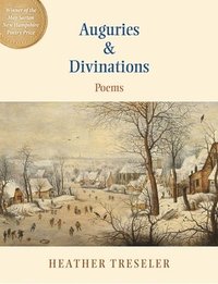 bokomslag Auguries & Divinations: Poems