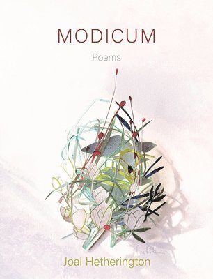 Modicum: Poems