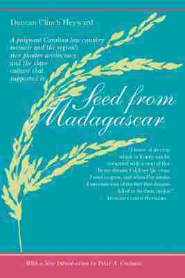 Seed from Madagascar 1