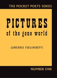 bokomslag Pictures of the Gone World