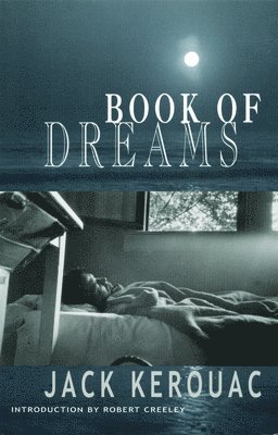 bokomslag Book of Dreams