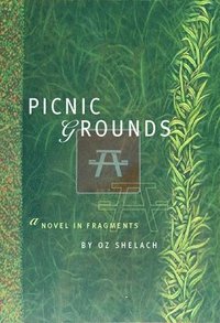 bokomslag Picnic Grounds