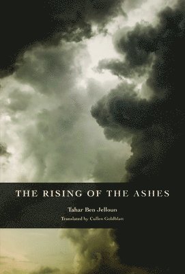 bokomslag Rising of the Ashes