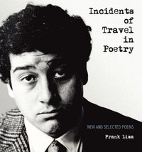 bokomslag Incidents of Travel in Poetry
