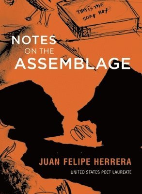 Notes on the Assemblage 1