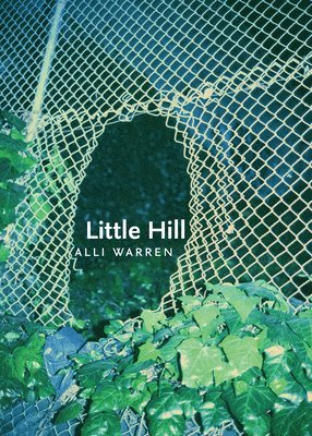 Little Hill 1