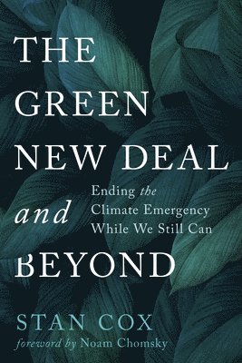 The Green New Deal and Beyond 1
