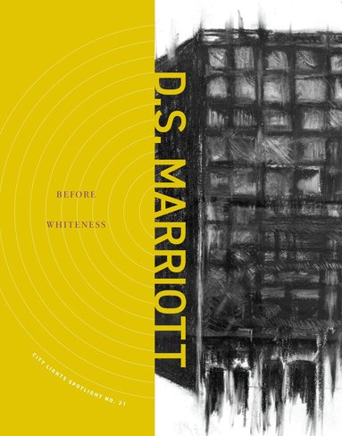 D.S. Marriott - Before Whiteness, Häftad