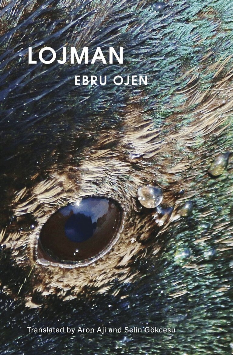 Ebru Ojen - Lojman, Häftad