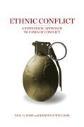 bokomslag Ethnic Conflict