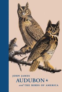 bokomslag John James Audubon and the Birds of America