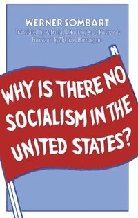 bokomslag Why is There No Socialism