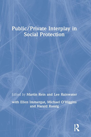 Martin Rein, Lee Rainwater - Public/Private Interplay in Social Protection, Inbunden