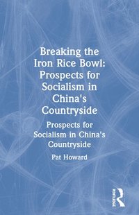 bokomslag Breaking the Iron Rice Bowl