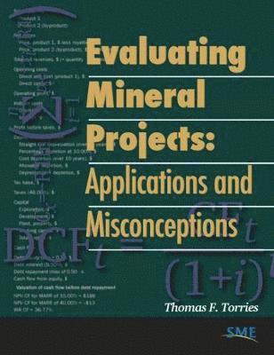 Evaluating Mineral Projects 1