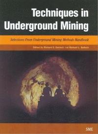 bokomslag Techniques in Underground Mining