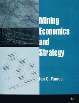 bokomslag Mining Economics and Strategy