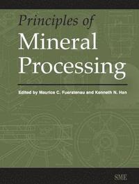 bokomslag Principles of Mineral Processing
