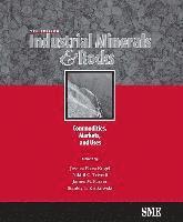 bokomslag Industrial Minerals & Rocks
