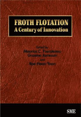 bokomslag Froth Flotation