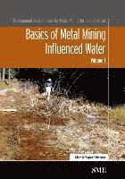 Virginia T. McLemore - Basics of Metal Mining Influenced Water, Häftad