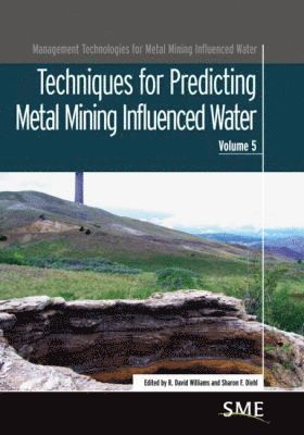 bokomslag Techniques for Predicting Metal Mining Influenced Water