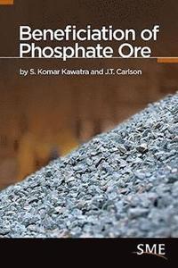 bokomslag Beneficiation of Phosphate Ore