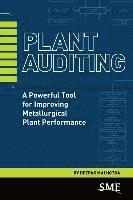 bokomslag Plant Auditing